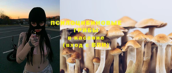 марки nbome Богданович
